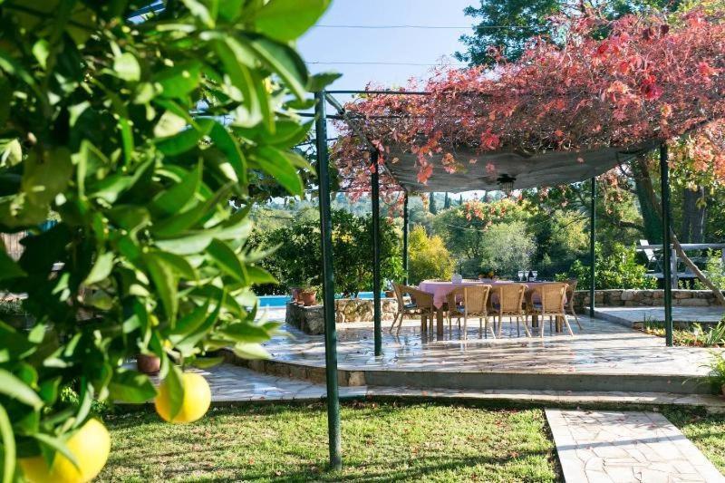 Rural Villa Forest With Private Pool Near Dubrovnik Gruda Extérieur photo